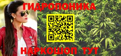 индика Гусиноозёрск