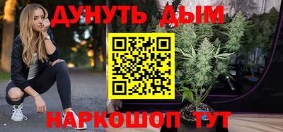индика Гусиноозёрск