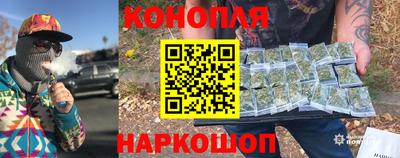 индика Гусиноозёрск