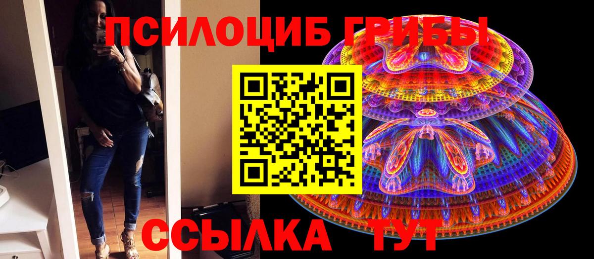 Псилоцибиновые грибы ЛСД  Вход с VPN  Шахты  Галлюциногенные грибы MAGIC MUSHROOMS 