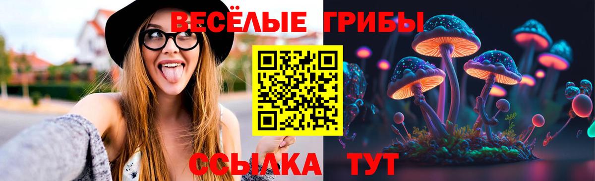 Псилоцибиновые грибы GOLDEN TEACHER Шахты
